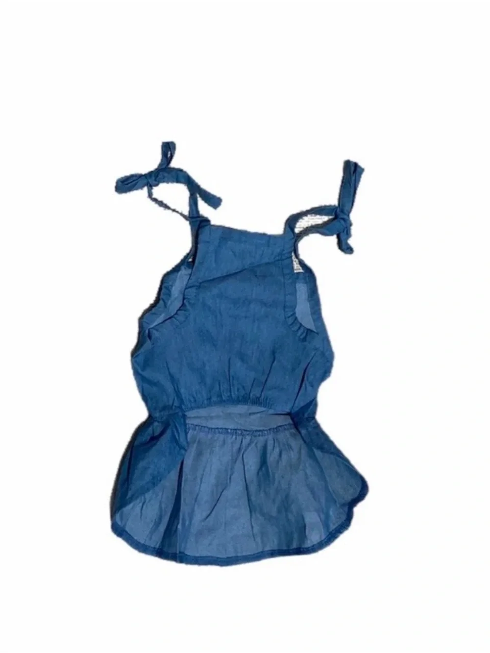 Blue Tie-Strap Pet Flared Dress